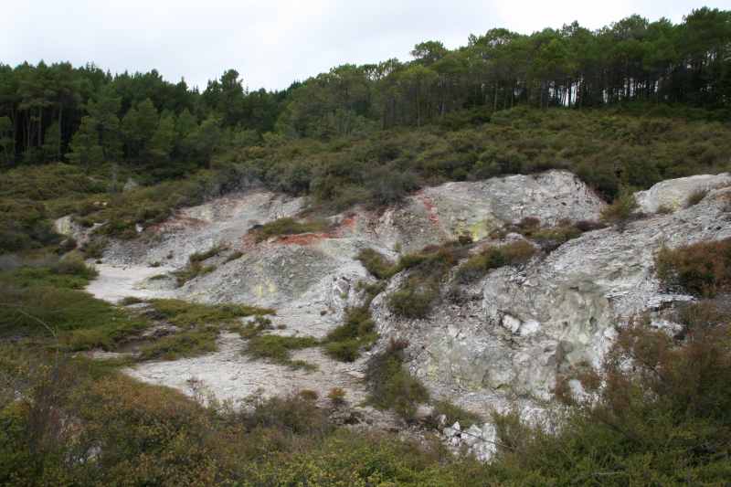 Nieuw-Zeeland 2011 - 0744